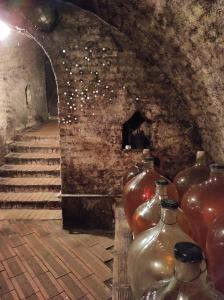 Ubytování Jevišovka - Vinný sklípek