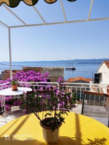 Award winning Garden Apartment with large Terrace and amazing Seaview