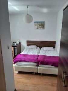 Amber House