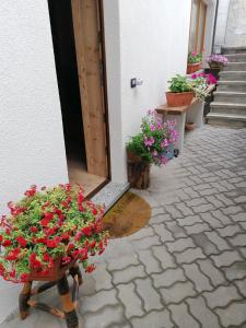 Taverna Larice