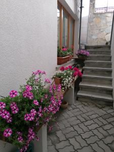 Taverna Larice