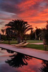 Pavillon Terra Ababila en Exclusivité