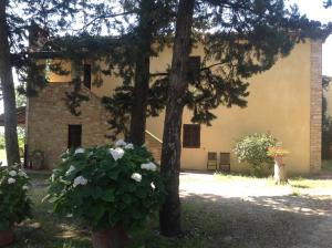 Agriturismo Fattoria Il Piano - Casa Tosca - San Gimignano