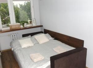 Apartament Aleksander