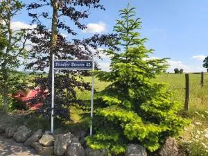 Ferienwohnung Schneifelsicht - Buchet