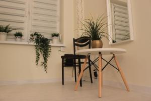 Apartament obok Opery Nova samo Centrum