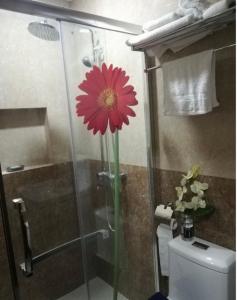 COZYMINIUM in Mega 2 at the HEART of Baguio City