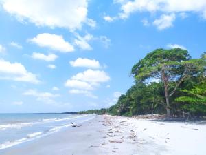 Tiki Lounge Necoclí