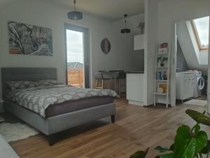 Apartament Muzyczny
