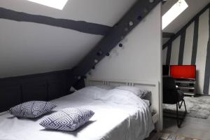 Appartements Le Mini Loft Montargis centre 1 a 4 personnes climatisation parking linge wifi freebox Netflix, Velos en option : photos des chambres