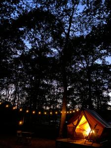 Campings Camping de la Foret Seasonova : photos des chambres