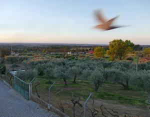 Casa e piscina privada