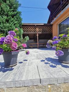 Pensiunea Cold Mountains