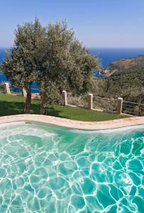 Olivia's Villas of Luxury Skiathos Greece