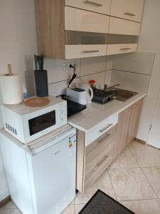 Apartamenty 2osobowe Długoszówka