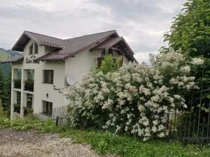 Casa Doina - Vatra Dornei