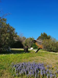 Maisons d'hotes La Cabane du Pesquier en Provence : photos des chambres