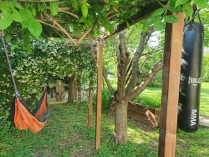 Maisons d'hotes La Cabane du Pesquier en Provence : photos des chambres