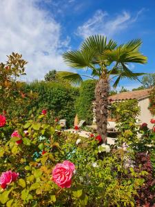 Maisons d'hotes La Cabane du Pesquier en Provence : photos des chambres