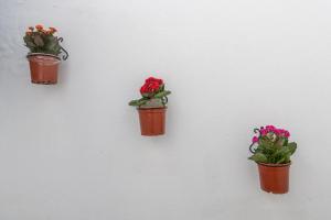 Apartment La Gitanilla terrace