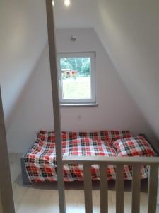 Eccocamping Sosnowe wzgórze