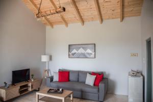 Renas Panorama View House