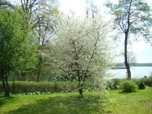 Letnisko Zielony Zakątek