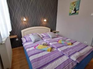 Zöld Béka Apartmanok Kölcsey I