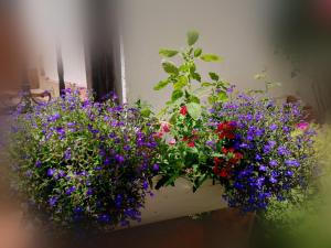 Casa Fotografului Studio Marines