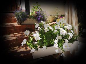 Casa Fotografului Studio Marines