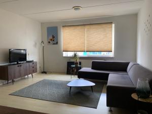 Apartments Zaanse Schans and Amsterdam