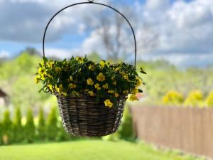 Vacation House Terraces