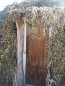 Ovile Juanne Loddo img68