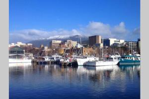 Sub Penthouse Luxe suit, CBD, secure parking,