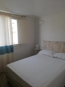 Domo Green House img25