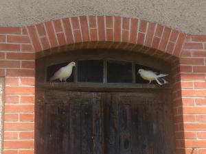 Maisons de vacances Maison de vacance Cronat : photos des chambres