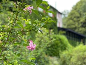 Hotels Les Grillons du Morvan : photos des chambres