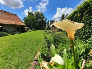 B&B / Chambres d'hotes La Flandre entre plaine, mer et marais : photos des chambres