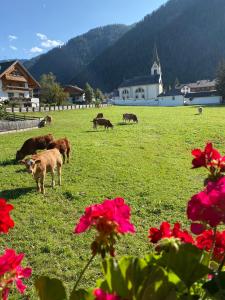 La Ücia by Fana Ladina