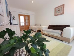 Dream on Peniche - Apartment