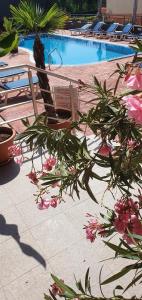 Apartament CACAO RESIDENCE