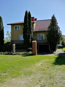 Apartament u Ali