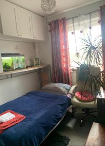 Cosy single room in London Wembley - Priváty, Londýn