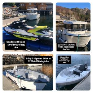 Atlantic View Ingerstua