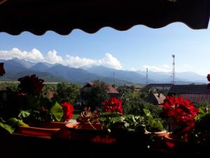 PENSIUNEA LEIA Transfăgărășan