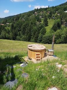 Chalets La Ferme du Panorama et Spa : photos des chambres