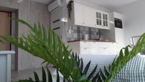 Apartament Biała Foczka