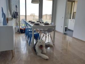 Barbacoa Jardín privado, sol, vistas al mar y montaña, 7 personas, familia, wifi, mascotas