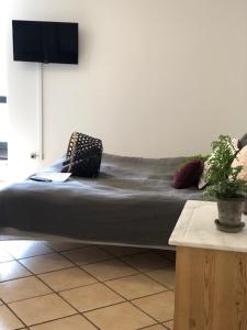 Allesø Gl. sognefoged gård