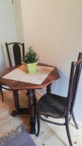 GOSTel Koprivnik pri Kočevju, Kočevski Rog